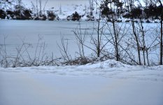 32-frozen pond.jpg