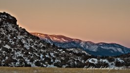 _DSC0104-Edit-Edit.jpg