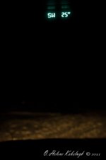 _DSC0133.jpg