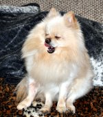 DSC_0059.jpg