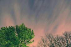 fire night sky2.jpg