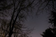 41-starry.jpg