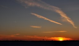 DSC_0631.jpg DSC_0631.jpg