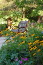 Bench Blur Small.jpg Bench Blur Small.jpg