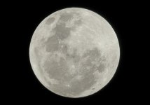 Moon Closeup.jpg