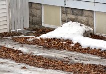 DSC_1271.jpg