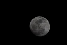Moon 2-16-11 (2 of 2).jpg