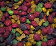 kibble.jpg