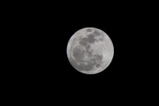 Moon 2-17-11 (1 of 1).jpg