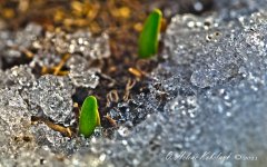 _DSC0061-Edit-Edit.jpg