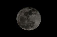 Moon for Nikonites.jpg Moon for Nikonites.jpg