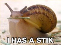 snail-has-a-stick.jpg