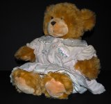 Teddy.jpg