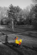 60-Duck.jpg
