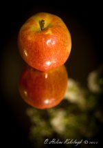 _DSC0009.jpg