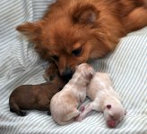 DSC_2146.jpg
