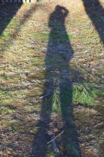 67-my shadow.jpg