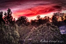 _DSC0119_20_21_22_24_25_tonemapped-Edit-Edit.jpg