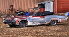 DSC_2412.jpg
