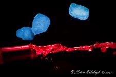 _DSC0129-Edit-Edit.jpg