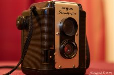 76-TLR.jpg