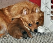 DSC_2569.jpg