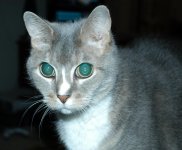 DSC_0023[1].jpg