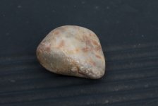 Pet rock.jpg