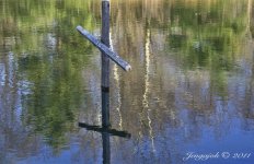 88-cross in water.jpg