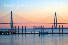 cooper river.jpg