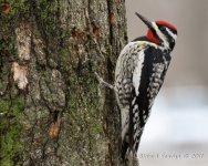 DSC_3512.jpg
