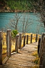 _DSC0189-Edit-Edit.jpg