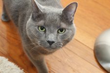 99-Nimbus.jpg