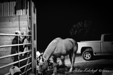 _DSC0051-Edit-Edit-Edit-2.jpg