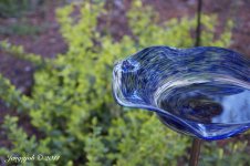 103-bird bath.jpg