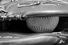 softball glovebw sm.jpg