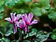 _SSC0137-Edit-Edit.jpg