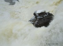 rock with cheap lens.jpg