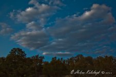 _DSC0048-Edit.jpg