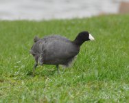 DSC_4023.jpg