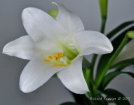 DSC_4032.jpg