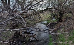 DSC_4160.jpg