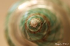 112-shell.jpg