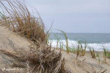 113-dunes.jpg