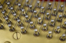 tuning pins.jpg