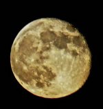 moon.jpg
