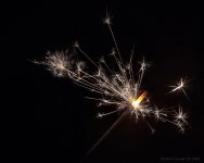 DSC_7214.jpg