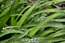 it rained.jpg