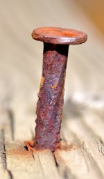Nail.jpg