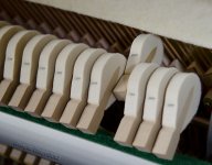 new hammers.jpg